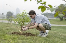 Photo of student planting a tree.