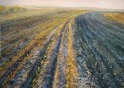 Artwork by Bobbie McKibbin shows Iowa agriculture -- field of corn.