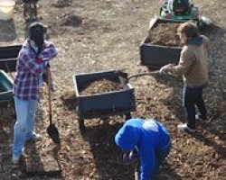 SIFE students mulching at The Homestead