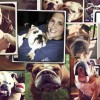 Porterhouse Gives Back