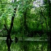 research and conservation