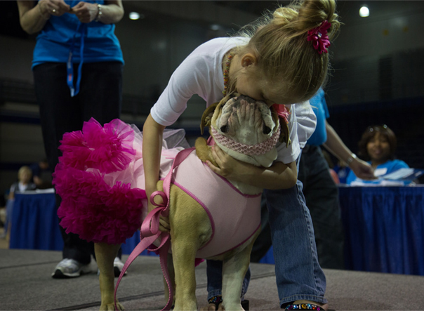 Pet therapy dog at Mercy Katzmann Breast Center lands title of Most Beautiful