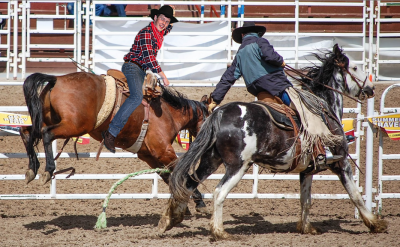 RodeoEDIT[2]