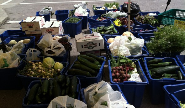 Fresh produce donated by Iowa farmers at the Des Moines Downtown Farmers Market in summer 2014.