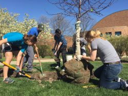 20160415_StudentPlantingTrees_Tree Campus_007