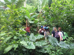 Drake students study sustainable agroforestry in Belize, January 2016.