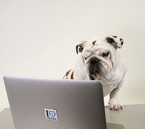 Griff at a laptop computer
