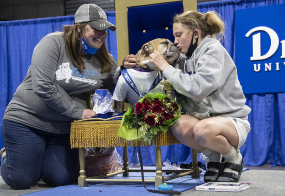 Rescue Dog Myrtle Mae Wins Beautiful Bulldog Contest® presented by Sammons Financial