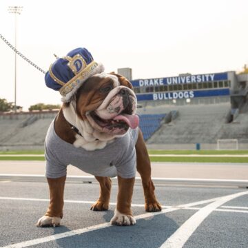 42nd Annual Beautiful Bulldog Contest® presented by Sammons Financial Returns to the Knapp Center