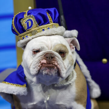 Drake University names 44th Annual Beautiful Bulldog Contest® winner
