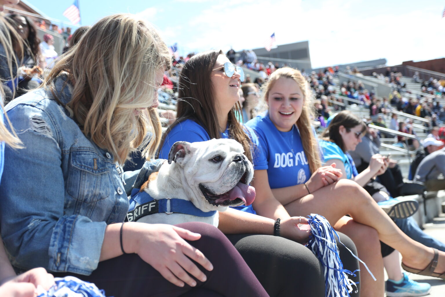 Drake University mourns the loss of retired mascot, Griff I - Drake ...