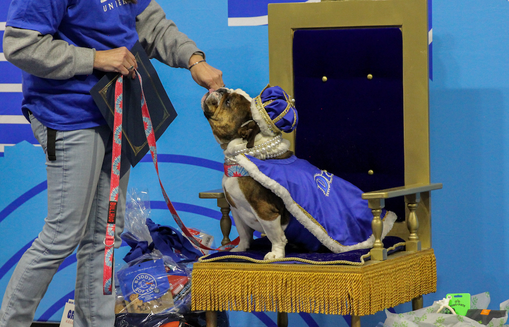 Drake University names 45th Annual Beautiful Bulldog Contest® winner ...