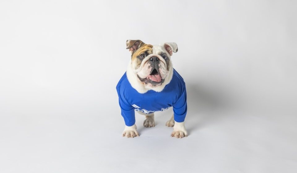 122025_G3-2 Meet Drake University’s Next Live Mascot, Griff III, Starting May 2026