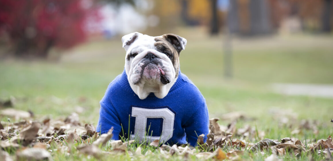 Griff II retirement 7 Drake University Announces Upcoming Retirement of Beloved Live Mascot, Griff II