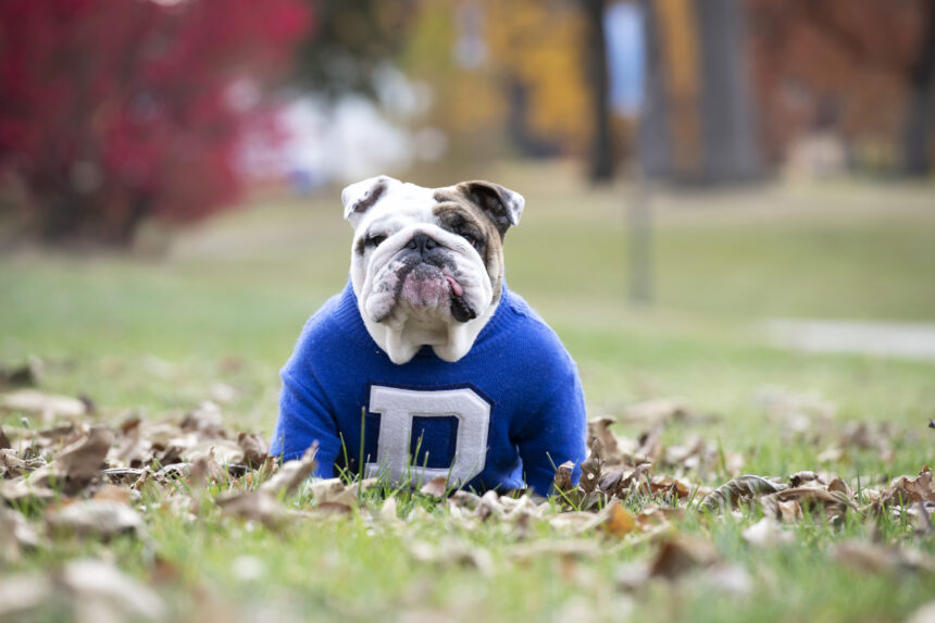 Drake University Announces Upcoming Retirement of Beloved Live Mascot, Griff II