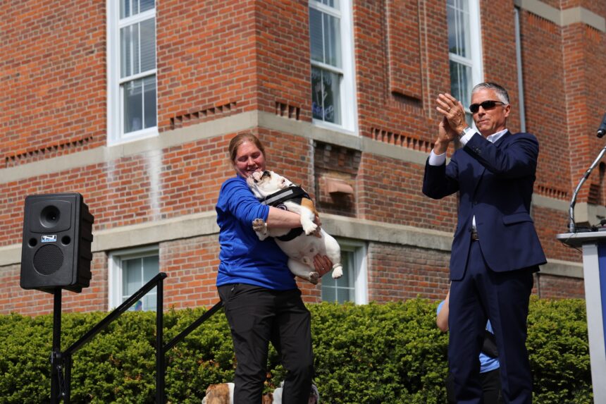3Z7A9547 A New Era: Griff II Passes the Harness to Griff III, Drake’s New Live Mascot