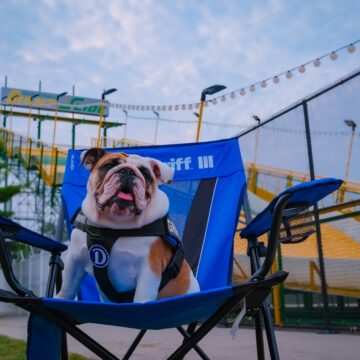 Griff at the Fair 23 Drake University Is Back at the Iowa State Fair